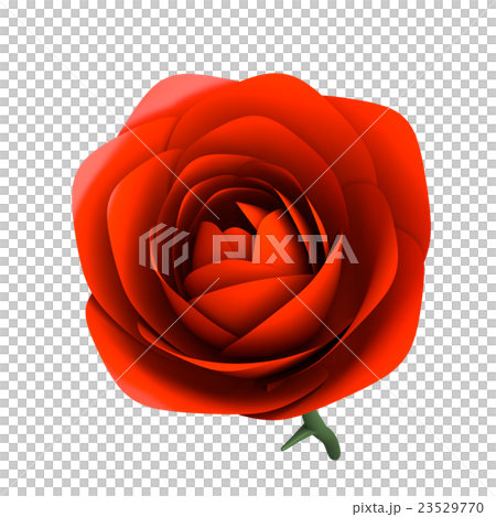 真っ赤なバラ一輪の3Dレンダリング画像 23529770