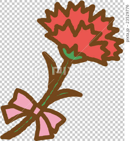 Carnation Carnation 23529776