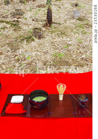 竹林で野点の春 竹林で野点の春 23530168