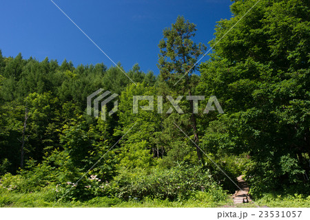 登山道入り口 23531057