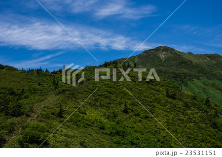 上州　武尊山 23531151