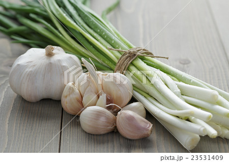 bunch of fresh organic green onions and garlic 23531409