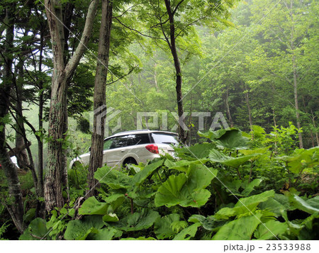 林道の車 23533988