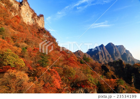 妙義山中間道から見る紅葉と相馬岳 23534199