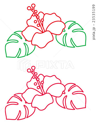 ハイビスカス 線状 23535199