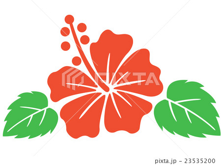 ハイビスカス ワンポイント 23535200
