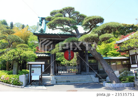 長谷寺の山門 23535751