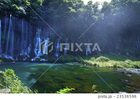 静岡県 白糸の滝 夏 23536596