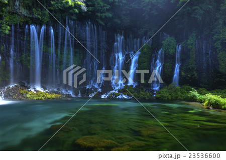 静岡県 白糸の滝 夏 23536600
