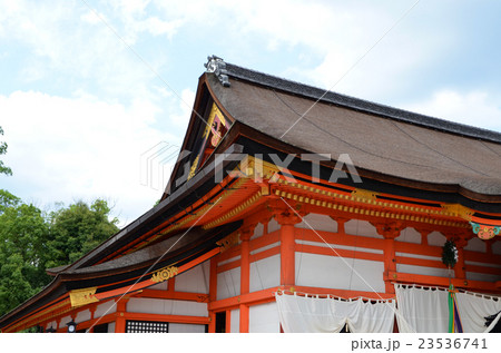 京都　八坂神社の境内 23536741