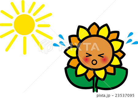ひまわり夏の花キャラクター 太陽熱中症きゃー汗のイラスト素材