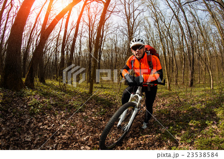 Cyclist Riding the Bike on a Trail in Summer 23538584