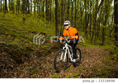 Cyclist Riding the Bike on a Trail in Summer 23538696