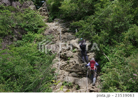 表丹沢・行者岳の鎖場 23539063