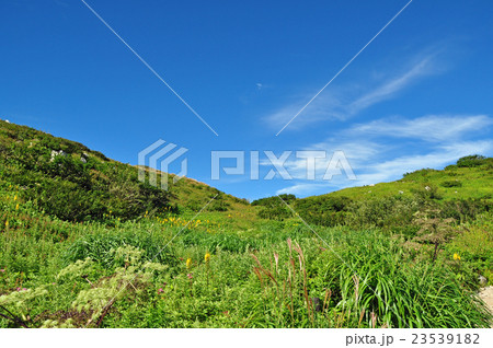 伊吹山山頂 23539182