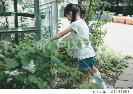 primary school child 23542603