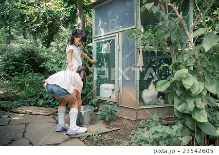 primary school child 23542605