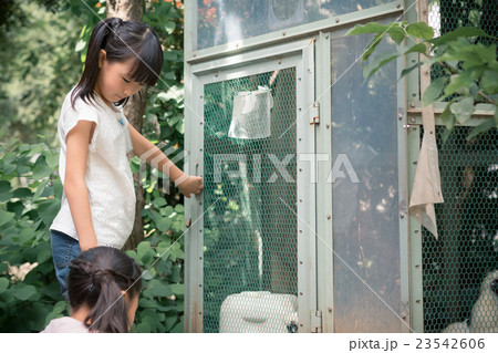 primary school child 23542606