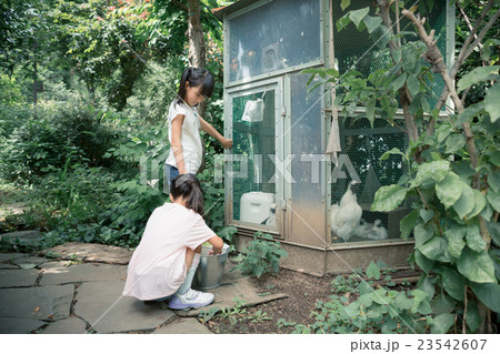 primary school child 23542607