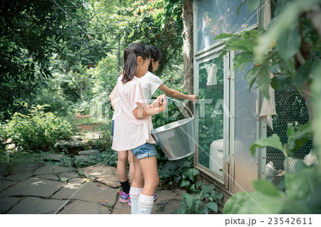 primary school child 23542611