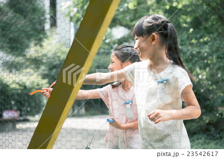 primary school child primary school child 23542617