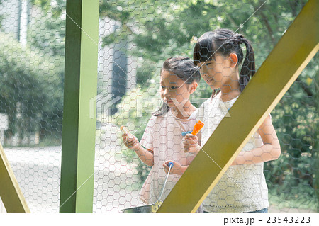 primary school child 23543223