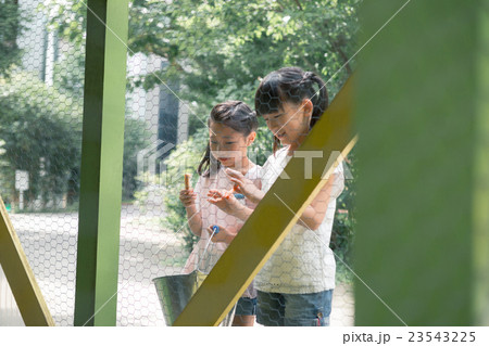 primary school child 23543225