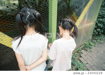 primary school child 23543229