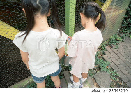 primary school child primary school child 23543230