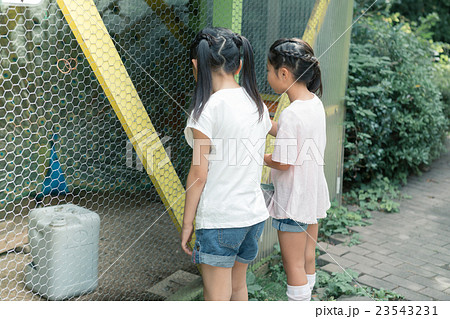 primary school child 23543231