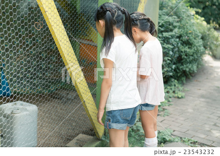 primary school child primary school child 23543232
