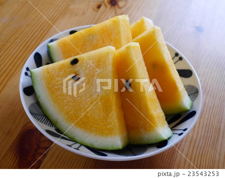 黄色のスイカ 黄色のスイカ 23543253
