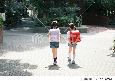 primary school child primary school child 23543298