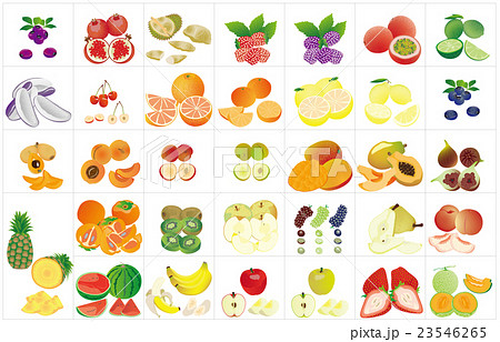 カットフルーツいろいろ枠 23546265