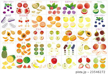 カットフルーツいろいろ枠名称 カットフルーツいろいろ枠名称 23546272