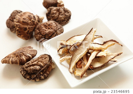 椎茸 23546695