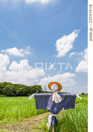 見沼田んぼの案山子 23547018