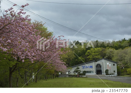 桜とみやぎ蔵王こけし館（宮城県） 23547770