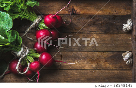 Fresh radish banches on wooden tray background 23548145