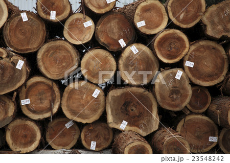 丸太の山 23548242