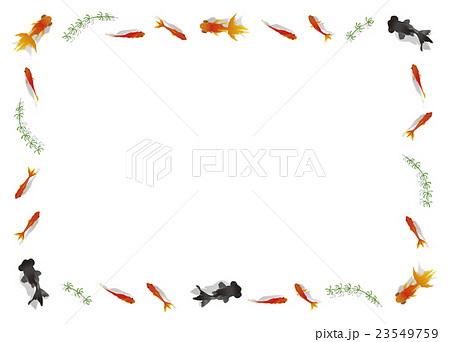 金魚囲みフレーム　A版サイズ 23549759