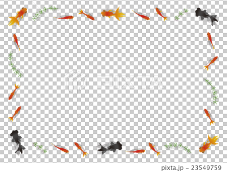 金魚囲みフレーム　A版サイズ 23549759