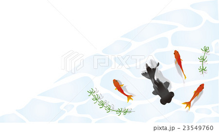 水面を泳ぐ金魚角枠1 水面を泳ぐ金魚角枠1 23549760