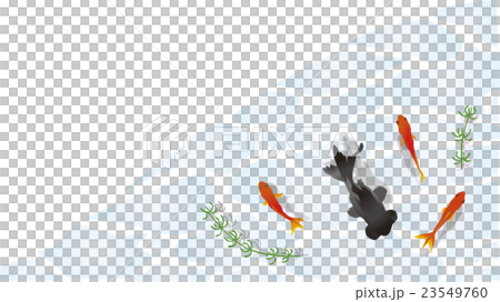 水面を泳ぐ金魚角枠1 水面を泳ぐ金魚角枠1 23549760