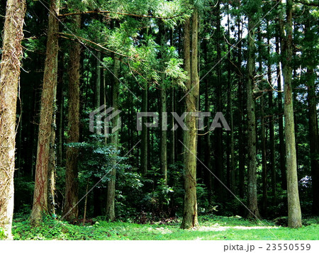 大板山たたら製鉄遺跡 23550559