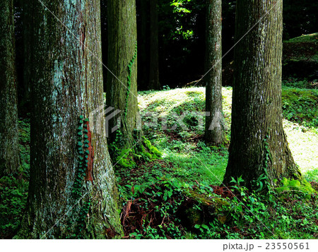 大板山たたら製鉄遺跡 23550561