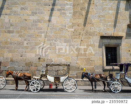 馬車　グアダラハラ 23550972