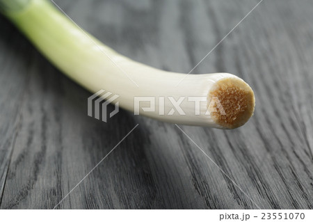 fresh organic leek on vintage oak table fresh organic leek on vintage oak table 23551070
