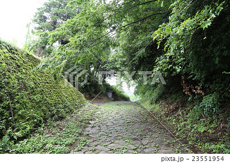 雨の箱根旧街道石畳道 雨の箱根旧街道石畳道 23551954