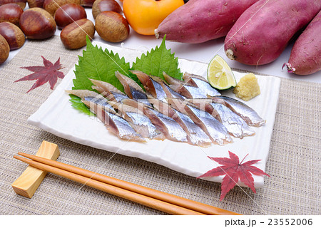 さんま刺身 23552006